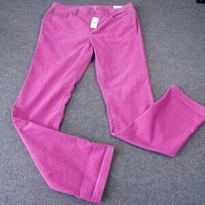 Ann Taylor Loft Modern Straight Corduroy Pants Magenta Pink Size 10 30/10 NEW